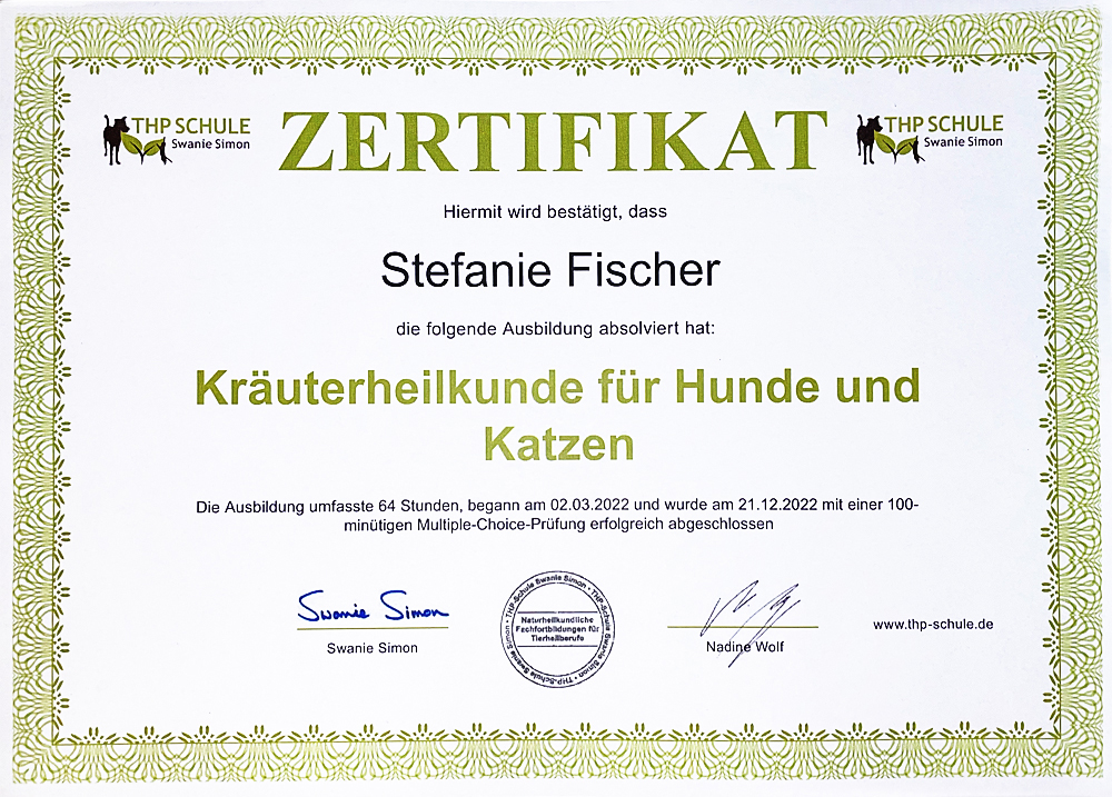 zertifikat_internetseite004